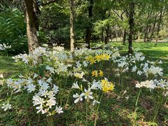 -杭州植物园