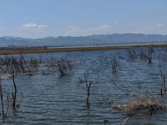 -野鸭湖国家湿地公园