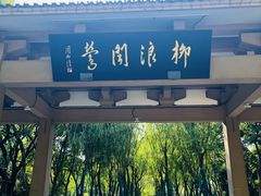 -柳浪闻莺公园