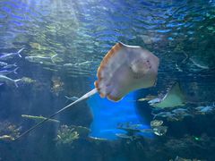 -华夏文旅海洋公园