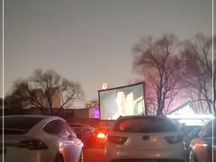 -枫花园汽车电影院(朝阳公园店)