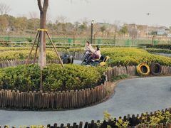 -季高兔窝窝亲子园(上海薰衣草公园店)