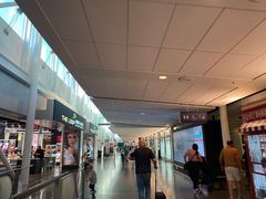 -蒙特利尔皮埃尔·埃利奥特·特鲁多国际机场