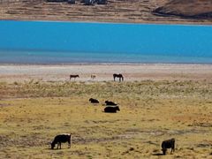 羊卓雍错-羊卓雍措