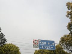 -高东镇樱花园