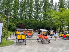 -黄海国家森林公园