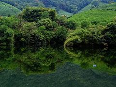 -龙坞茶村