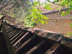 -白水寺森林公园