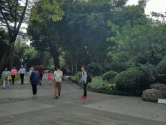 -晓港公园