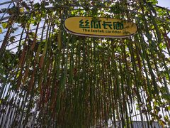 -北戴河集发农业梦想王国