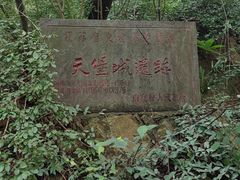 -紫金山天文台