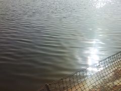 -咸阳湖景区