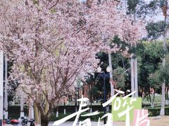 -成都大学-图书馆
