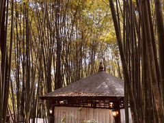 -竹海听涛生态山庄