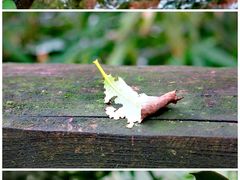 -西湖风景区-江洋畈生态公园