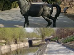 -元大都城垣遗址公园