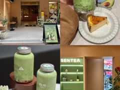-森茶(湛江万达店)