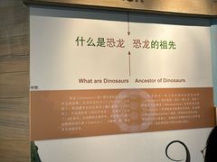 -安徽省地质博物馆