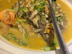 -饭怕鱼·黄焖鲟龙鱼(湖大店)