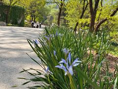 -北京西山国家森林公园