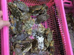 -众味海鲜大排档·活海鲜·潮汕味(南澳店)