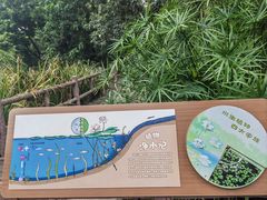 -成都市活水公园