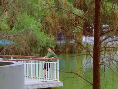 -人民公园(罗湖区)