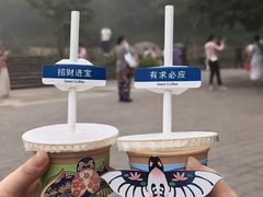 -普陀山风景区-佛顶山