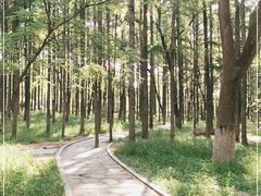 -长春市南湖公园