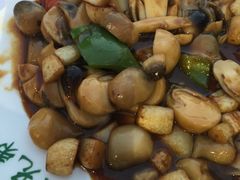 -常赢三兄弟·清真涮肉·清真炒菜(朝阳新城店)
