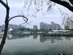 -桐乡植物园