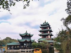 -桂湖森林公园