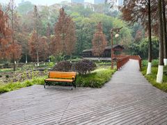 -重庆彩云湖湿地公园