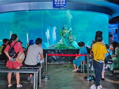 -北海·海洋之窗
