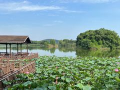 -上海市保健医疗中心