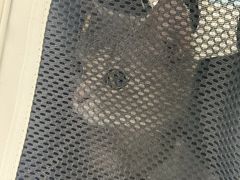 -博特宠物医院24h犬猫全科.骨科·异宠