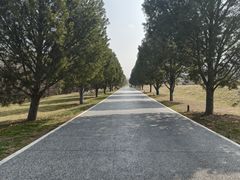 -秦始皇帝陵博物院-丽山园