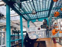 -猫小院猫主题咖啡厅(北锣店)