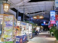 -三亚海昌梦幻海洋不夜城