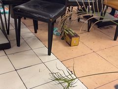 -清真磊磊烧烤老店(饮虎池街34号店)