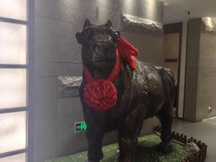 -秦宝雪花牛肉养生火锅(大兴九臻店)