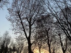 -青山公园萤火虫科普展