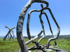 -龙里油画大草原旅游区