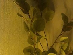 -禧瑞 ·丝浴主题·水疗·spa(中山公园店)