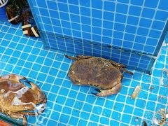 -晶渔坊·海鲜私房菜(东夷小镇店)