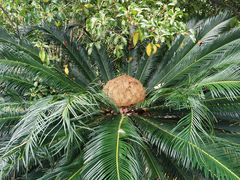 -申隆生态园-上海东方金融小镇