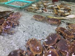 -渔傅·蓝海岸霞浦海鲜(正祥店)