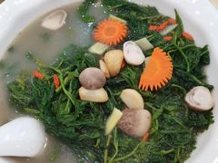 高汤浸桑芽-九大簋家宴(北京路店)