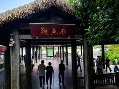 -枫香湖儿童公园