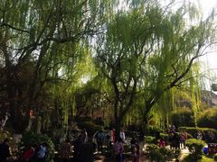 -西安青龙寺遗址景区
